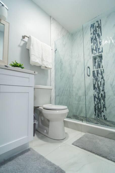 Grey Novo Studio + Free-Parking&Wifi Tampa Luaran gambar