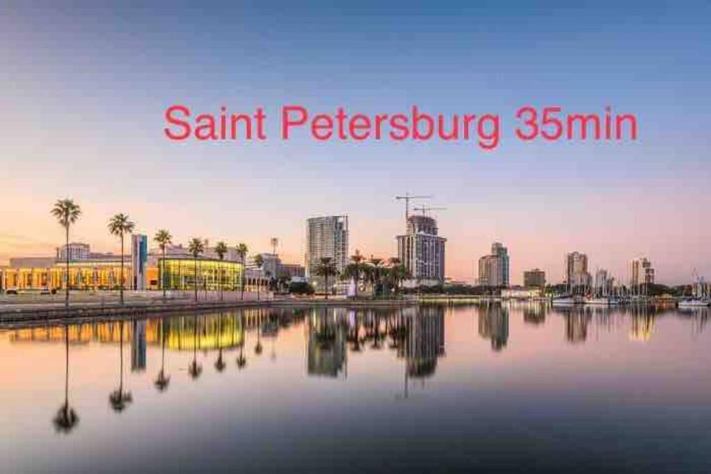 Grey Novo Studio + Free-Parking&Wifi Tampa Luaran gambar