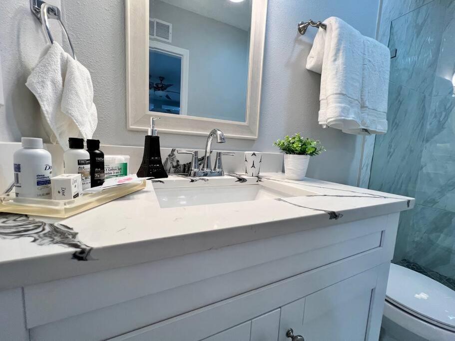 Grey Novo Studio + Free-Parking&Wifi Tampa Luaran gambar